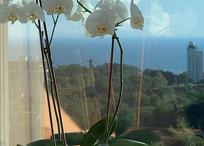 Appartement аркадия !26 жемчужина вид море, место в паркинг *